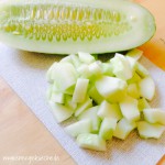 schmorgurke_5-elemente-rezept_energiekueche Schmorgurken-Gemüse mit Reis