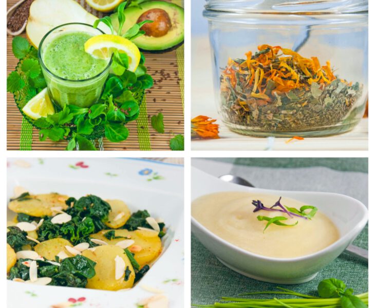 Meal Plan Detox-Tag Basenfasten