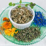 Milder Kräutertee mit Alchemilla