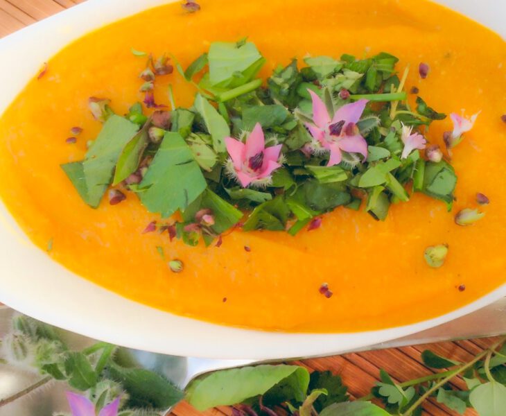 Rezept für Kräuter-Kürbis-Suppe