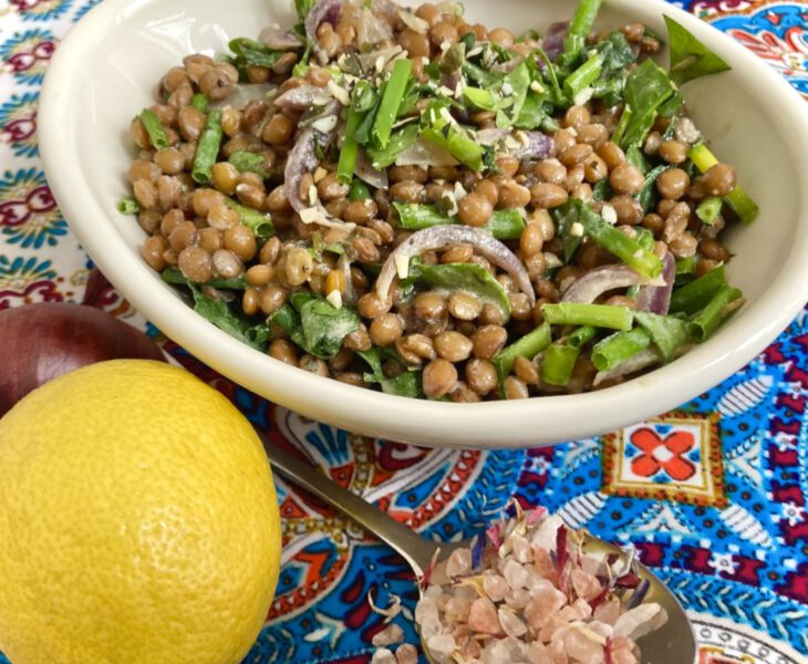 Frischer Kräuter-Linsen-Salat inspiriert von den fünf Elementen